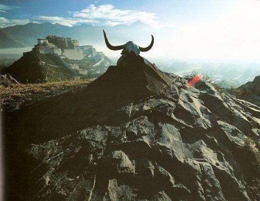 tibet tibet