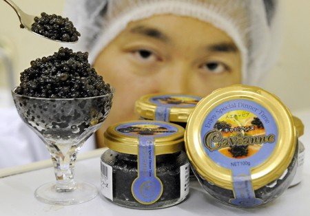 Cavianne, Photo: Toru Yamanaka 816277662