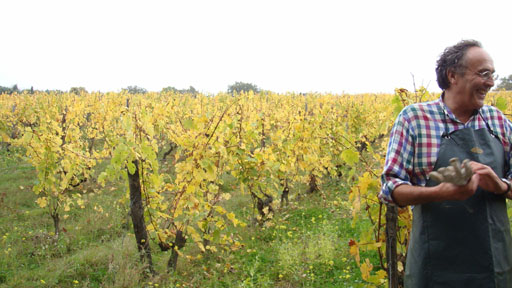 Nicolas Joly, Château de la Roche aux Moines, Forrás: vintrust, Jesse Becker Nicolas Joly, Château de la Roche aux Moines, Forrás: vintrust, Jesse Becker