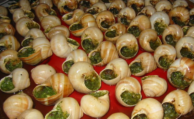 Escargot de Burgogne (Burgundiai csiga), Forrás: livvyjams.files.wordpress.com Escargot de Burgogne (Burgundiai csiga), Forrás: livvyjams.files.wordpress.com
