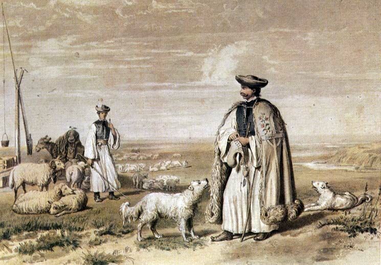 Alföldi huhászok, 1855
