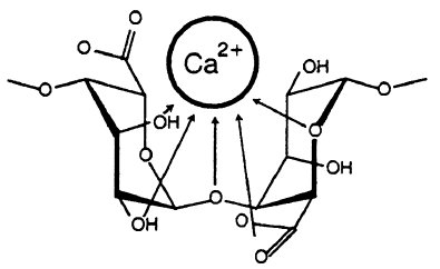 calcium-alginate