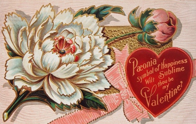 Valentin napi képeslap pünkösdi rózsával