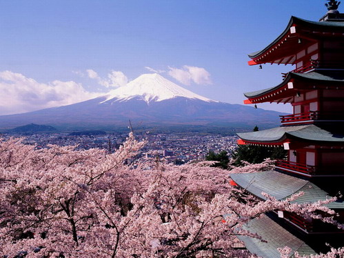 Cseresznyevirágzás, Fuji; Forrás: wallpapers.free-review.net
