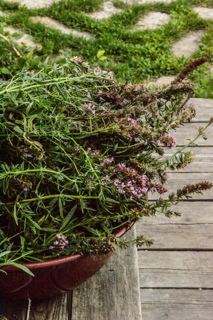 tumblr nc24xvJRXC1sgjz0io1 500