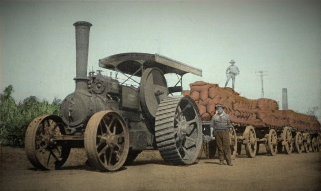Gőzgéppel vontatott utánfutók cukorral megrakott zsákokkal (Bundaberg, 1914)