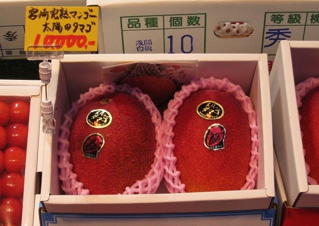 Taiyo-no-Tamago mangó (Japán) (Forrás: alux.com)