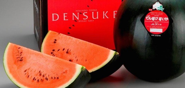 Densuke görögdinnye (Hokkaido, Japán) (Forrás: tx.english-ch.com)