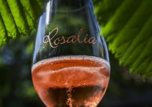rosalia-fesztival-2016-28694-3-l