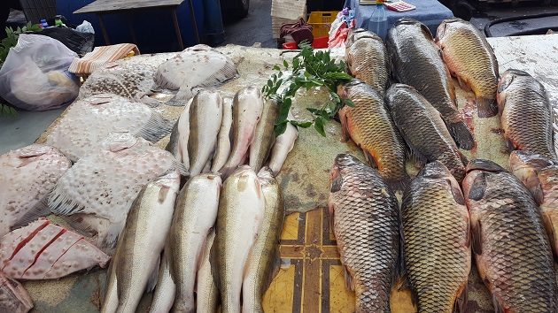 Tengeri és édesvízi halak (Privoz Piac, Ogyessza, 2016)