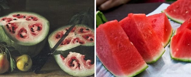Vadon élő és modern görögdinnye