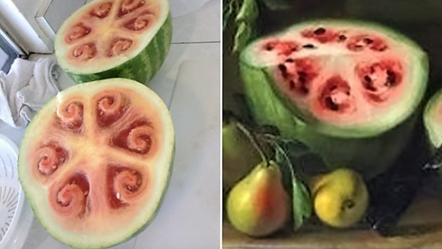 Vadon élő görögdinnye