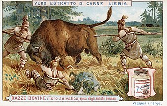 Liebig húskivonatának itáliai reklámja az 1900-as években
